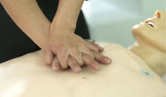 Online Version Full - body Adult Nursing Manikin for Clinical Training
